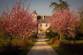 CHATEAU DE MONFREVILLE
